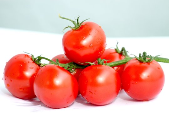 Tomaten,Gemüse