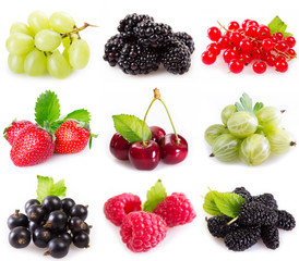Collection of berries