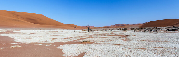 Fototapeta na wymiar beautiful landscape of Hidden Vlei in Namib desert panorama