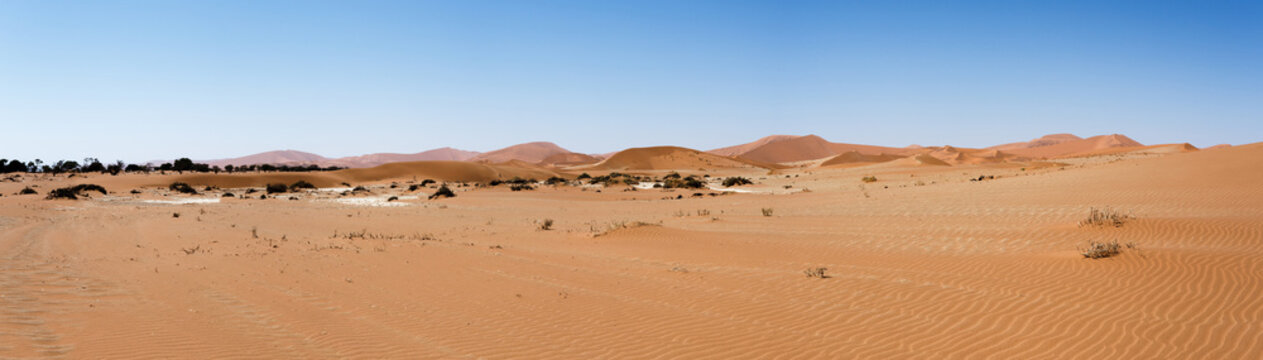 beautiful landscape of Hidden Vlei in Namib desert panorama