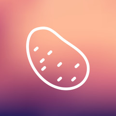 Potato thin line icon