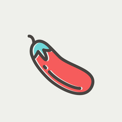 Eggplant fruit thin line icon