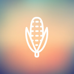 Corn thin line icon