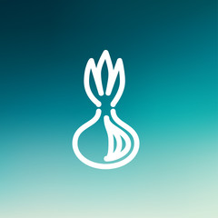 Onion thin line icon