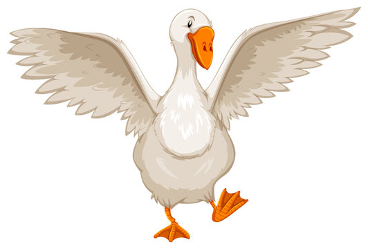 Cartoon Goose Images – Browse 18,879 Stock Photos, Vectors, and Video |  Adobe Stock