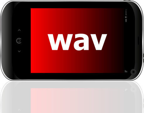 Web development concept: smartphone with word wav vector