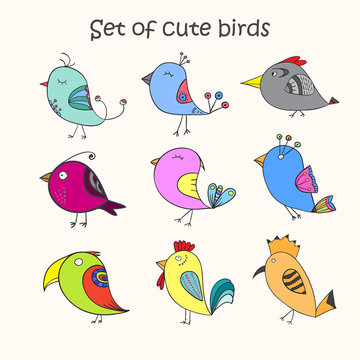 Set of 9 cute birds in vector. Colorful birds doodle collection.