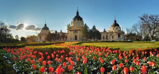 Fototapeten Budapest - spring panorama with flower, Szechenyi Spa, Hungary © TTstudio