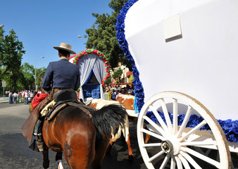 Carretas y jinete a caballo, Romería del Rocío, España