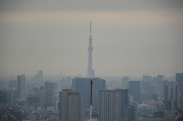 Fototapeta na wymiar Skyline von Tokio, Japan - Skytree