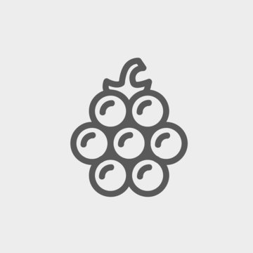 Lanzones fruit thin line icon