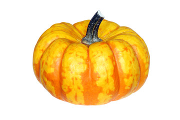 Yellow orange fresh pumpkin isolated on white background