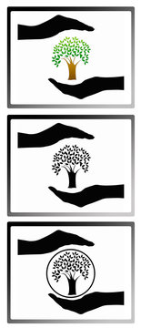 Tree care icon collection