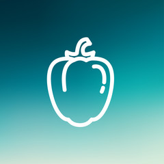 Bell pepper thin line icon