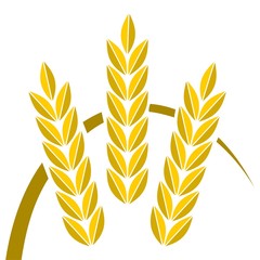 Agriculture icon golden wheat - Illustration
