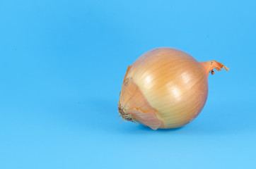 Ripe unpeeled onion on blue background close up