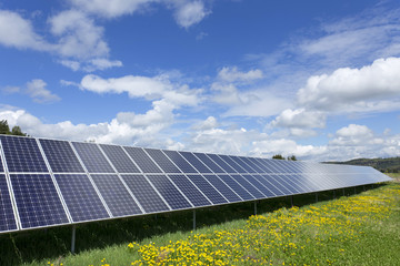 Solar Power Station on the spring flowering Meadow