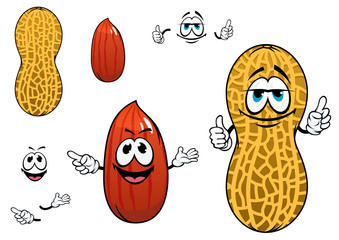 Funny kernel and pod of peanut characters