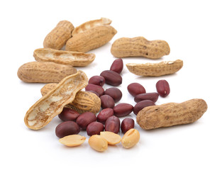 peanut isolated on a white background