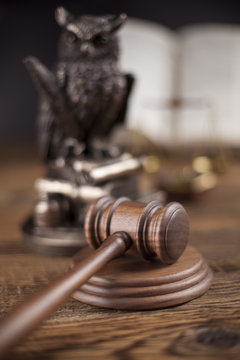 Law concept, owl in a judge gavel concept