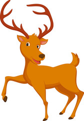 cute deer cartoon