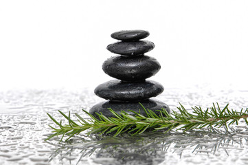 Stacked wet stones and rosemary on wet