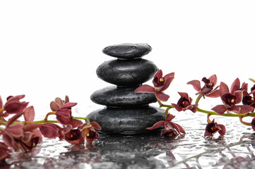 Spa concept –branch stones and red orchid