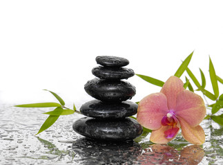 Spa wet Background with orchid with leaves and black stones 