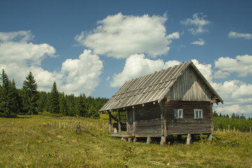 Fototapeta na wymiar Lonely cottage at Golija mountain
