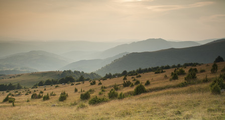 Sunset over the pasture of Golija mountain in Serbia