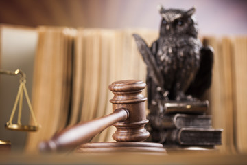 Law concept, owl in a judge gavel concept