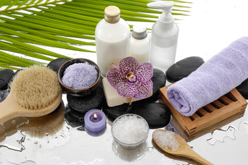 Spa Background-palm and spa set 