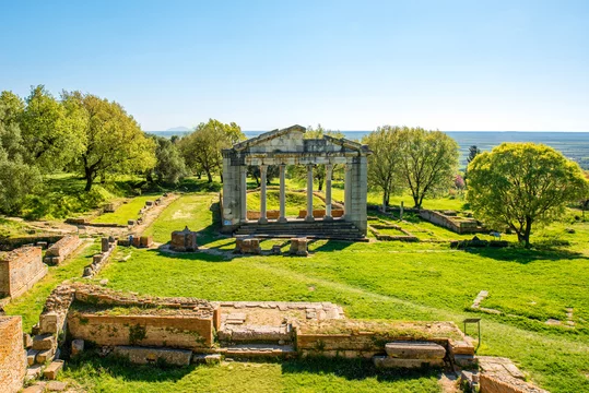 Apollonia - Adobe Stock