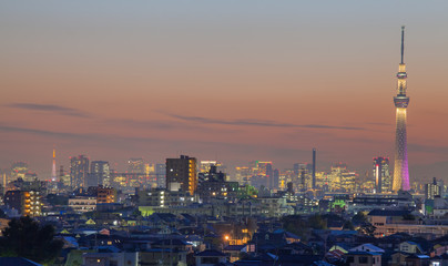 Fototapeta premium Tokyo landmark Tokyo skytree and Tokyo Tower at night