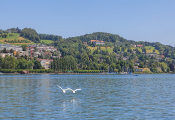 View on the Lake Lucerne in summer