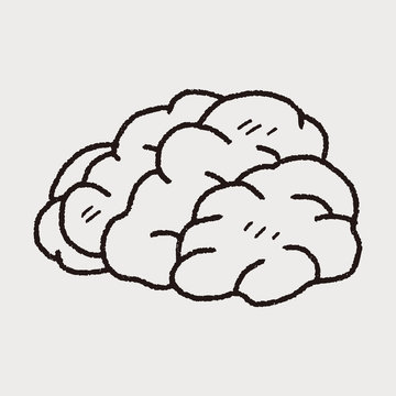 brain doodle