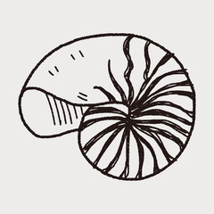 shell doodle