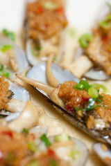 Razor clam