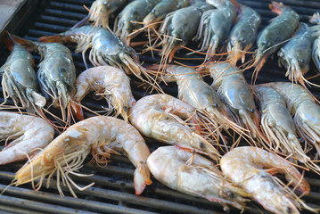 several kind of prawns on the grills