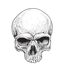 Dotwork Skull