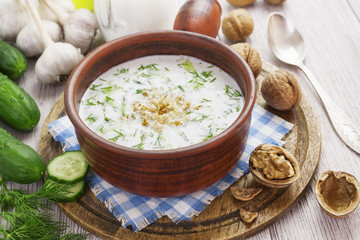 Tarator, bulgarian sour milk soup