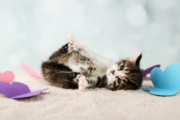 Cute little kitten on light background
