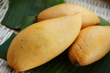 Sweet Thai Mangoes