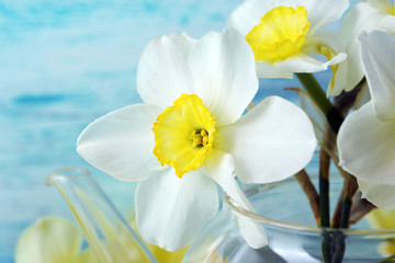 Fresh narcissus flowers on wooden background