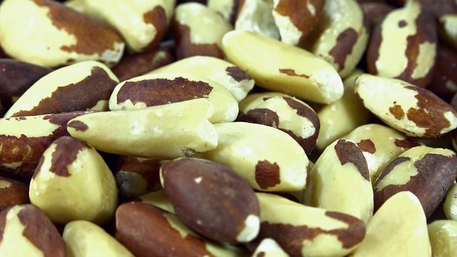 Portion of Brazil Nuts (seamless loopable)