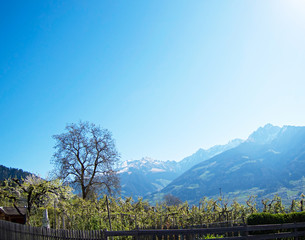 Frühlingserwachen in den Bergen