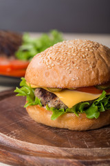 Closeup of classic burger