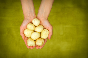 Hands holding fresh potatoes close up shoot