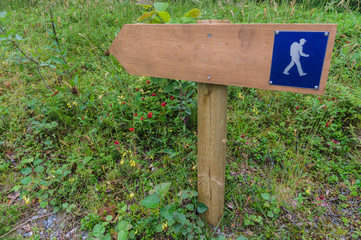 Wooden hiking signpost in a forest area