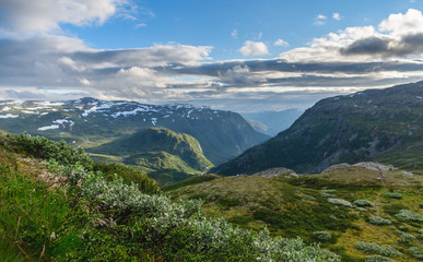 Summer in highland valley of Norway